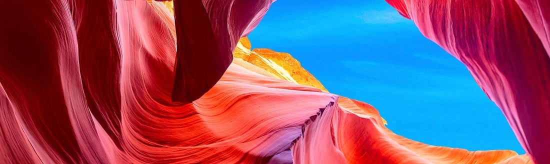 Discover the Seductive Elegance of the Lara by Kraken